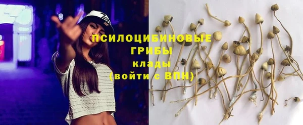 стафф Верея