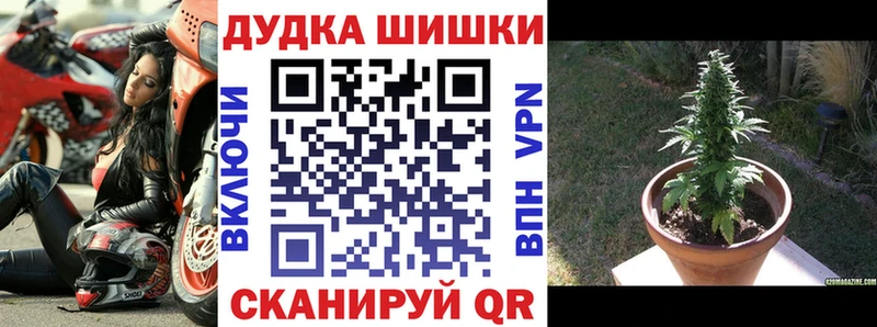 как найти закладки omg ссылки МАРИХУАНА индика Тула